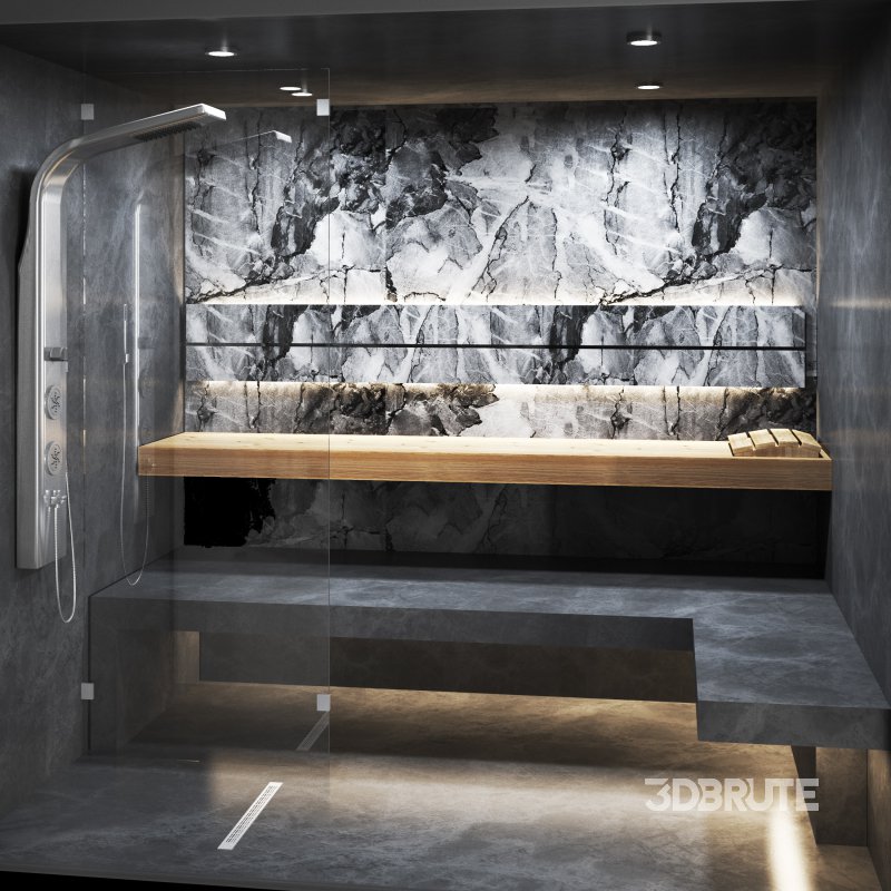 Sauna 02 and steam room Image 2