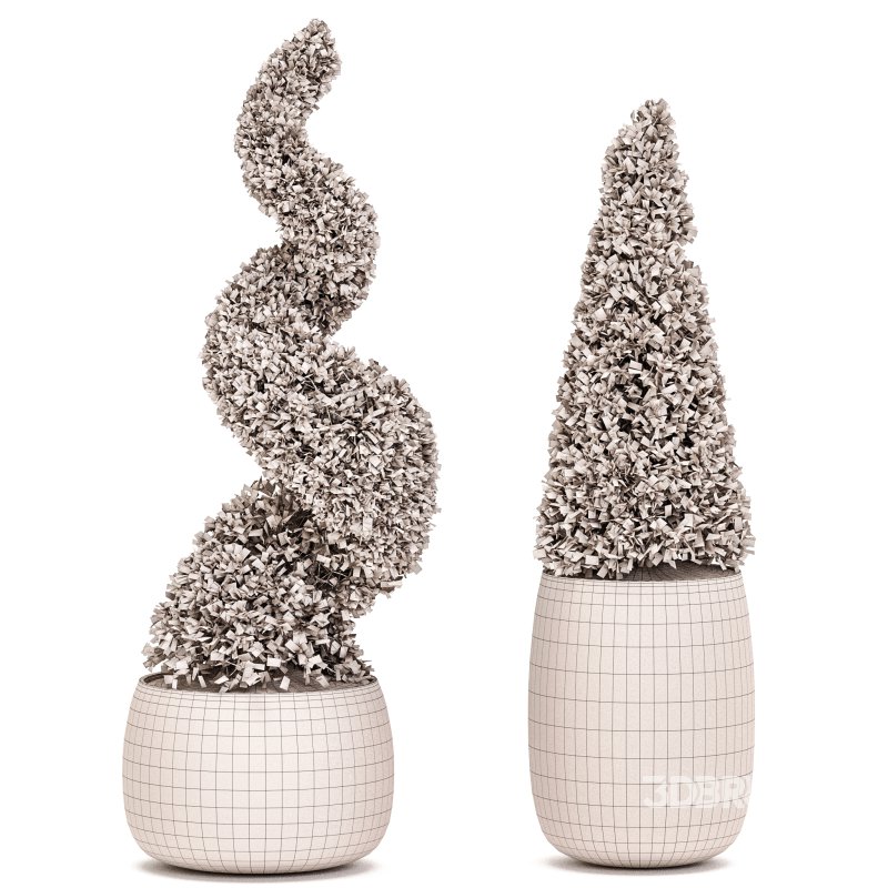 Outdoor Plant Set 03 Image 3