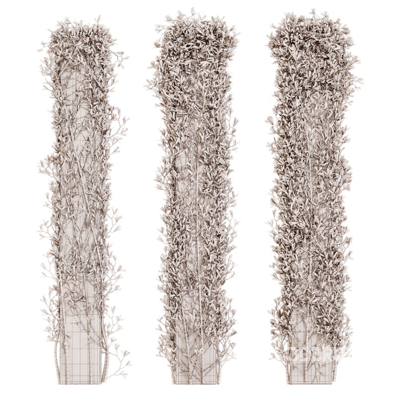 Outdoor Plant Set 010 Image 3