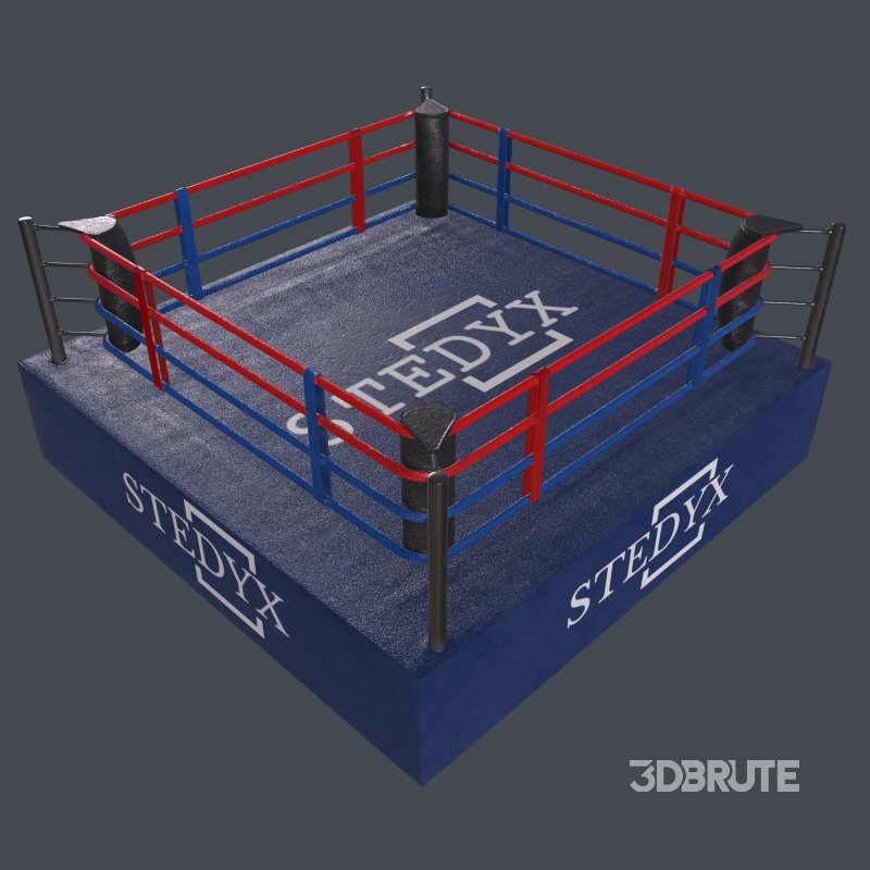boxing ring Image 7