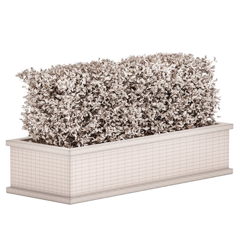 Outdoor Plant Set 04 Image 4