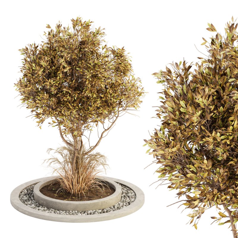 Outdoor Plant Set 017 Image 1