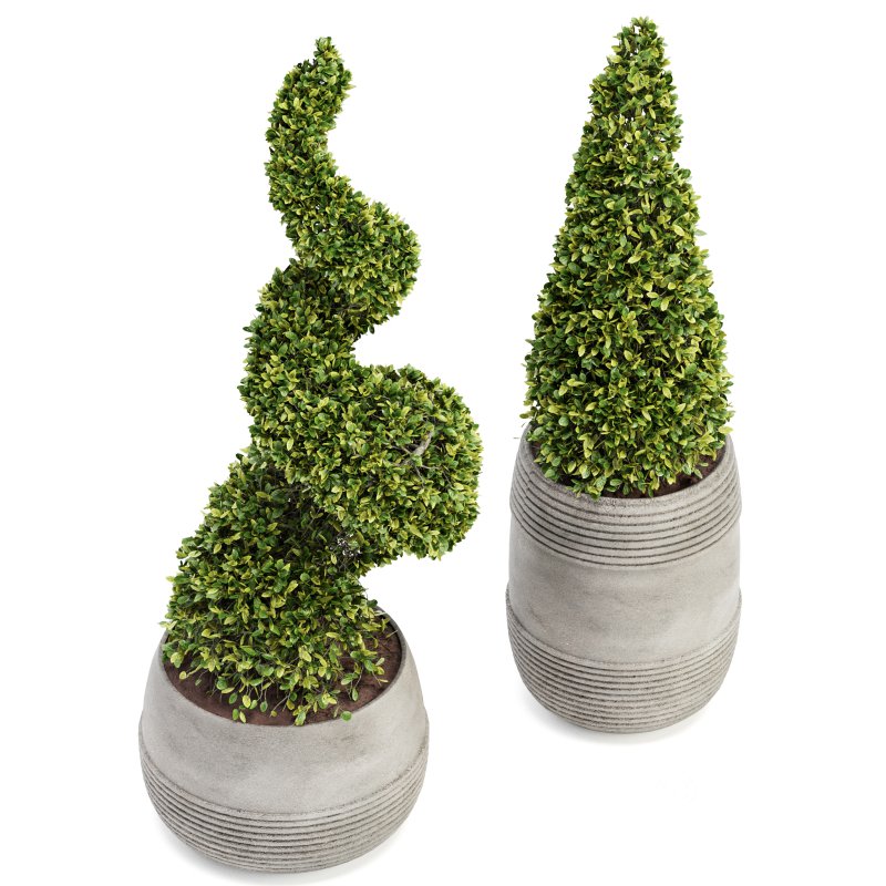 Outdoor Plant Set 03 Image 2