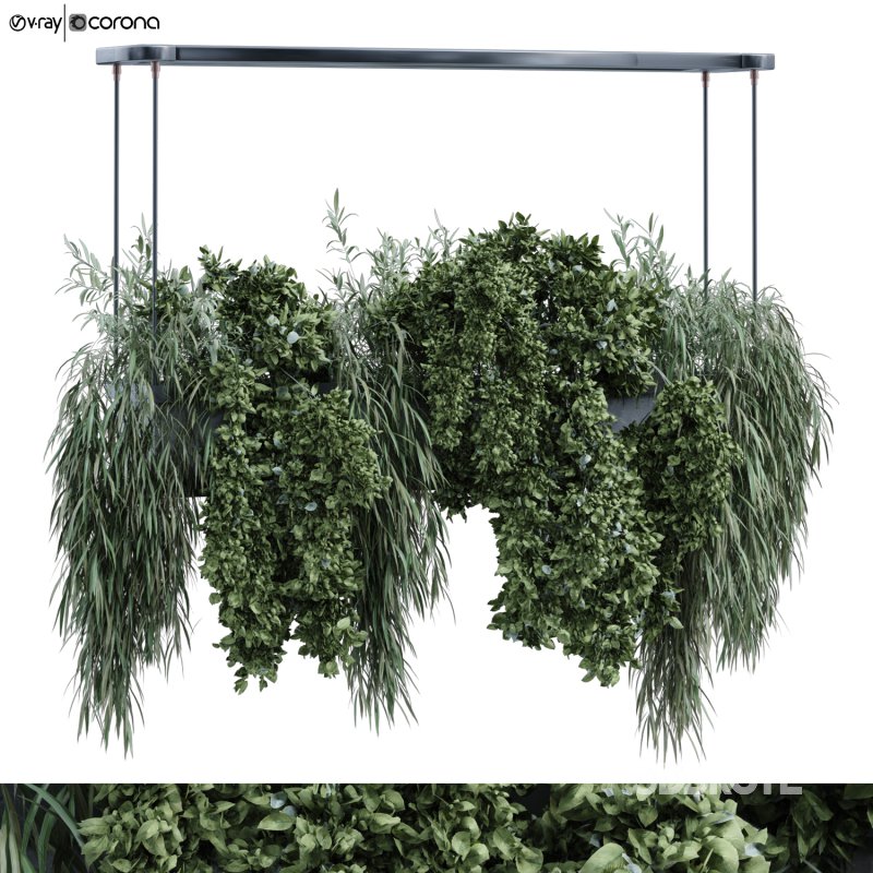 green plant in box 359 Image 1