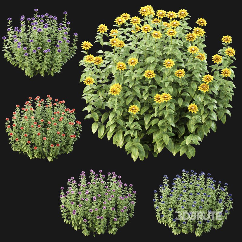 Wild flower bush Image 3