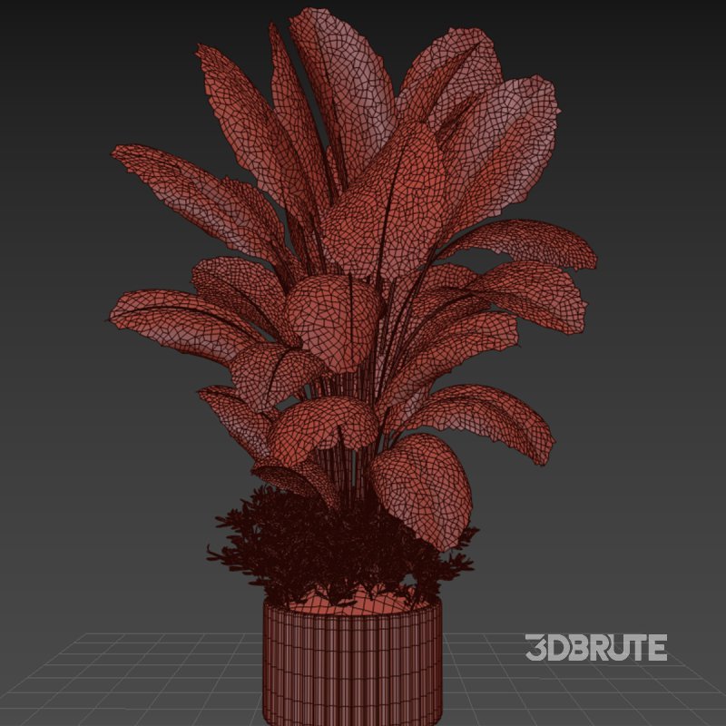 Indoor plant 06 Image 3