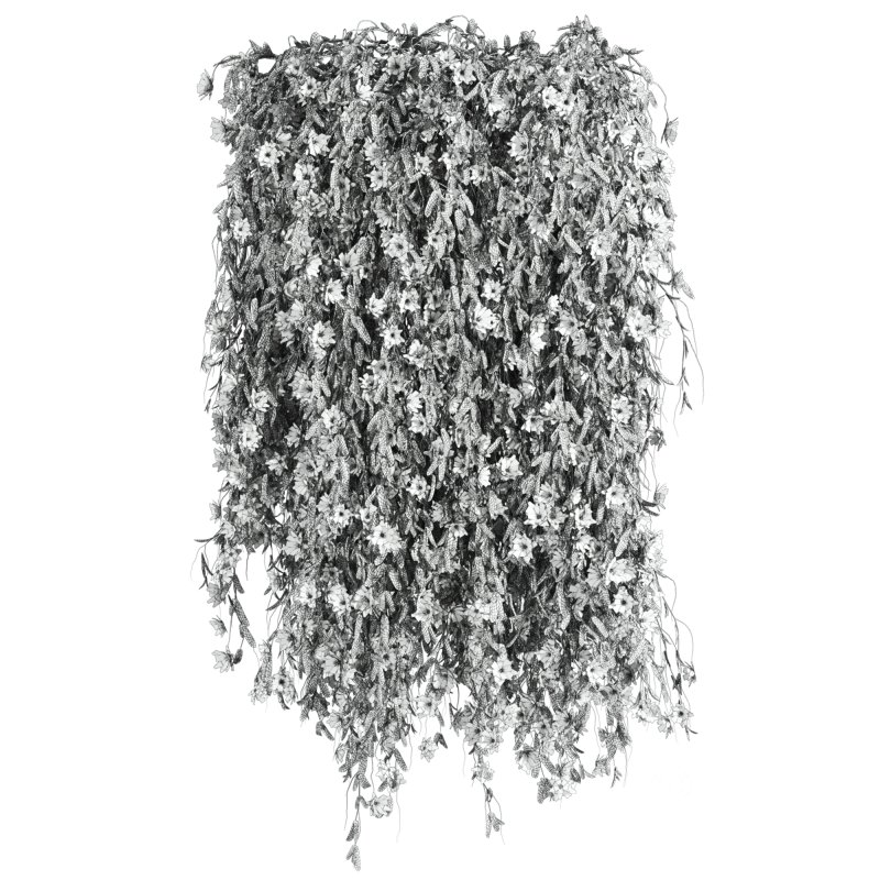 hanging plants Image 3