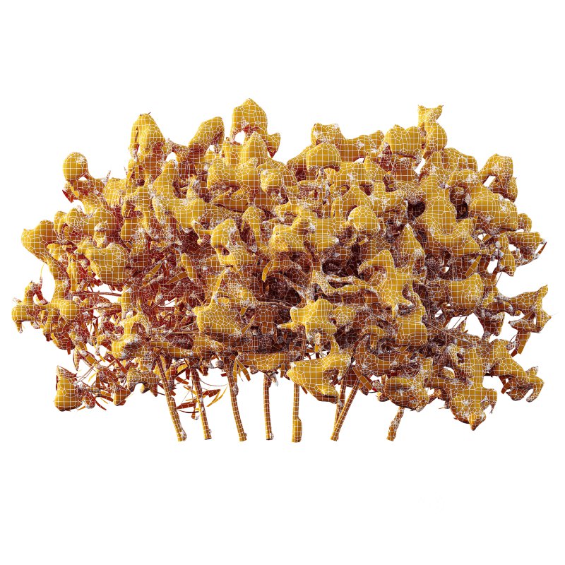 AV Plants Rhododendron Arboreum Bush Winter Snow Image 3