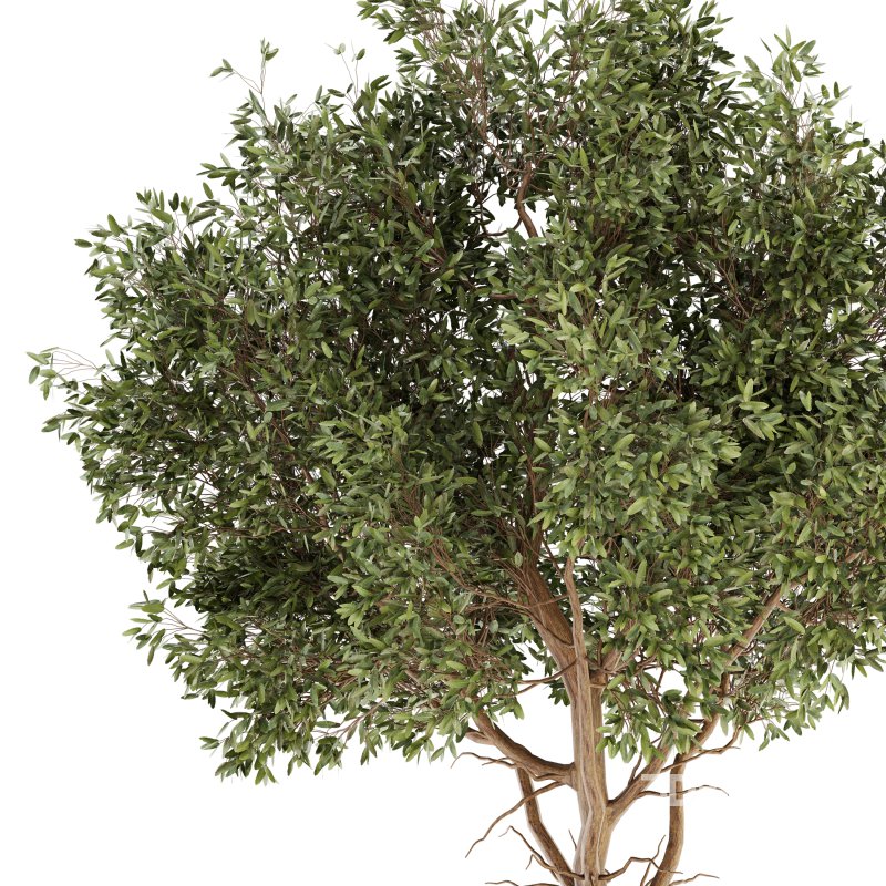 Urban environment 04 Image 3