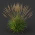 AV 11 different Grasses - Thumbnail 8