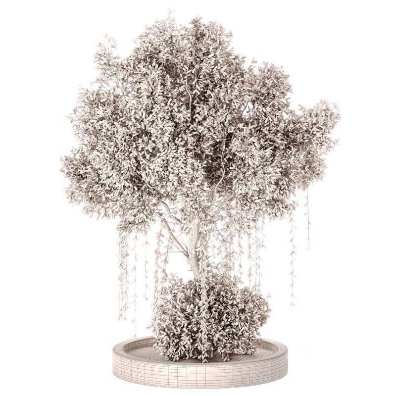 Outdoor Plant Set 014 Image 4