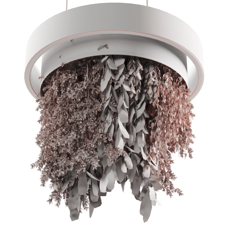 Indoor plants Hanging Plants set91 Image 4