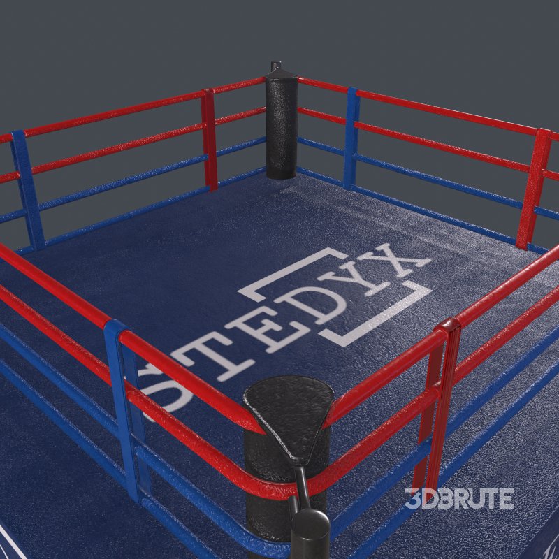 boxing ring Image 3