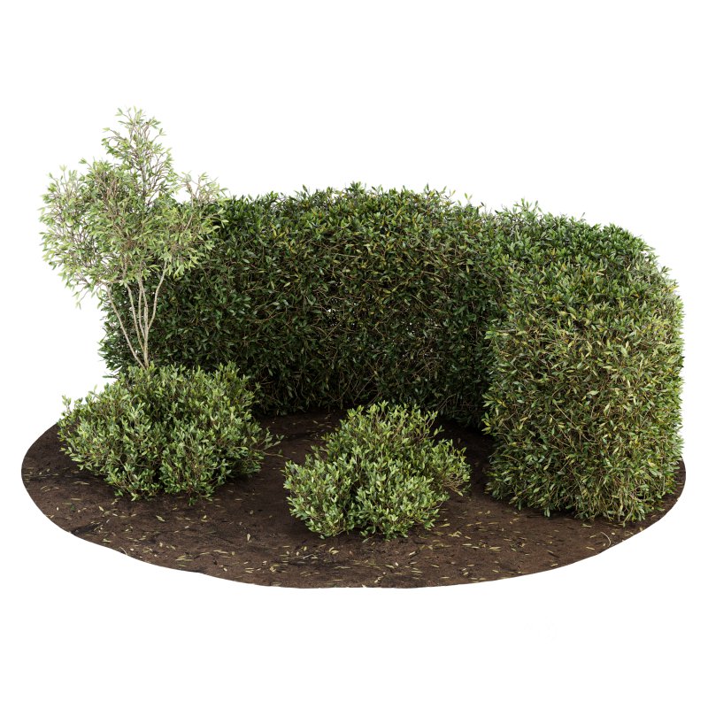 Outdoor Plant Set 08 Image 1