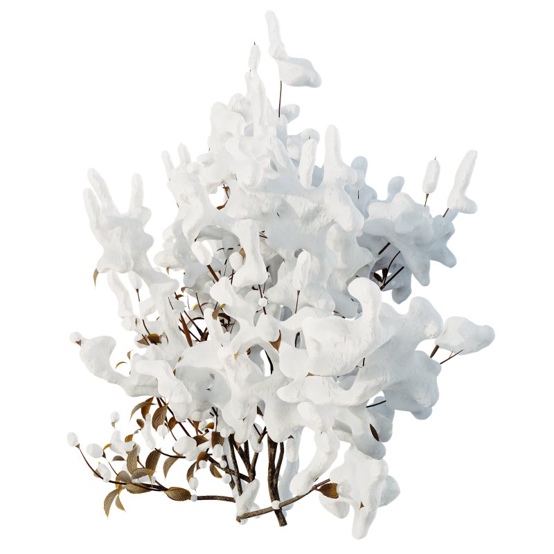 AV Plants Kapebonavista Pachystachys Lutea Golden Shrimp Winter Snow Image 2