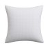 Classic modern canvas pillow - Thumbnail 1