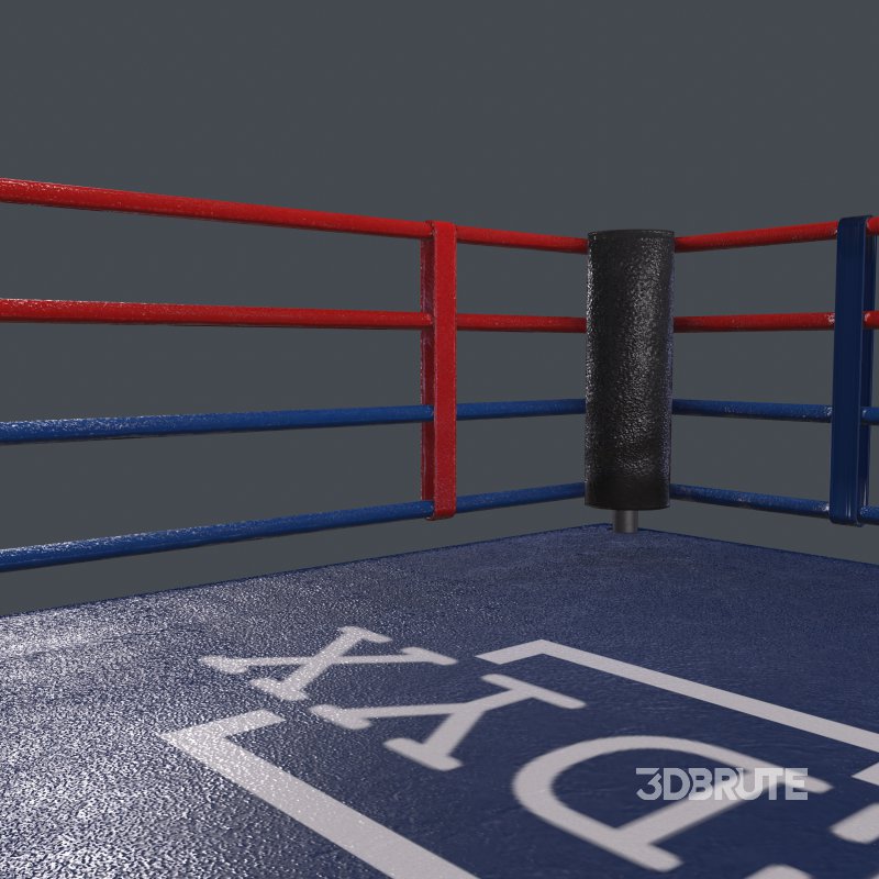 boxing ring Image 4