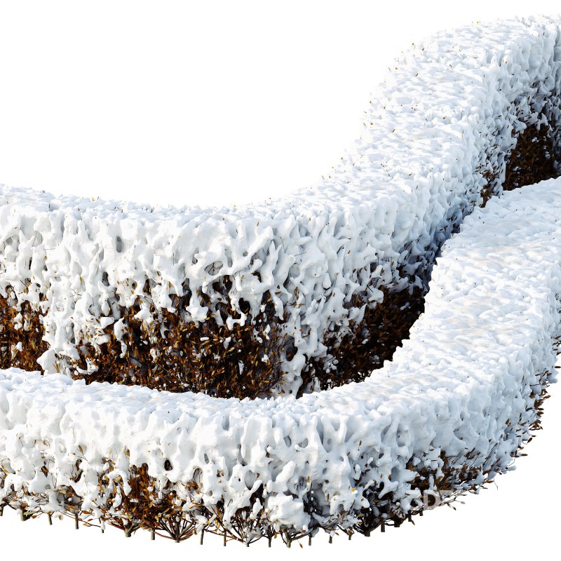 AV Plants Red Ixora Jasmine Gardens Chinese Dwarf Coccinea Winter Snow Image 1