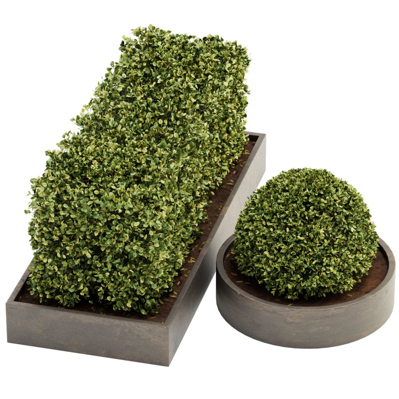 Outdoor Plant Set 06 Image 2