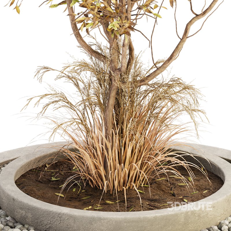 Outdoor Plant Set 017 Image 5