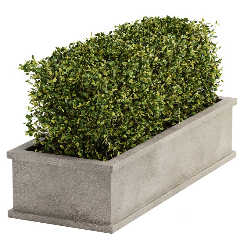 Outdoor Plant Set 04 Image 1