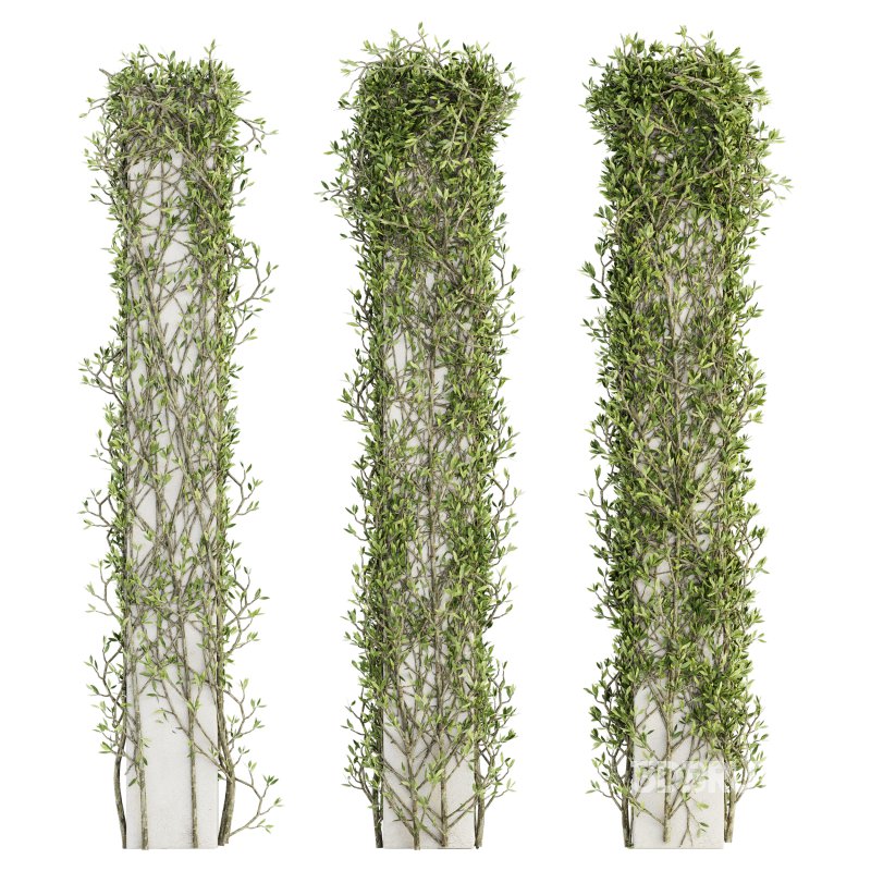 Outdoor Plant Set 010 Image 1