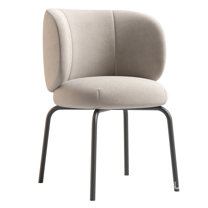 Rico Dining Chair Image 6