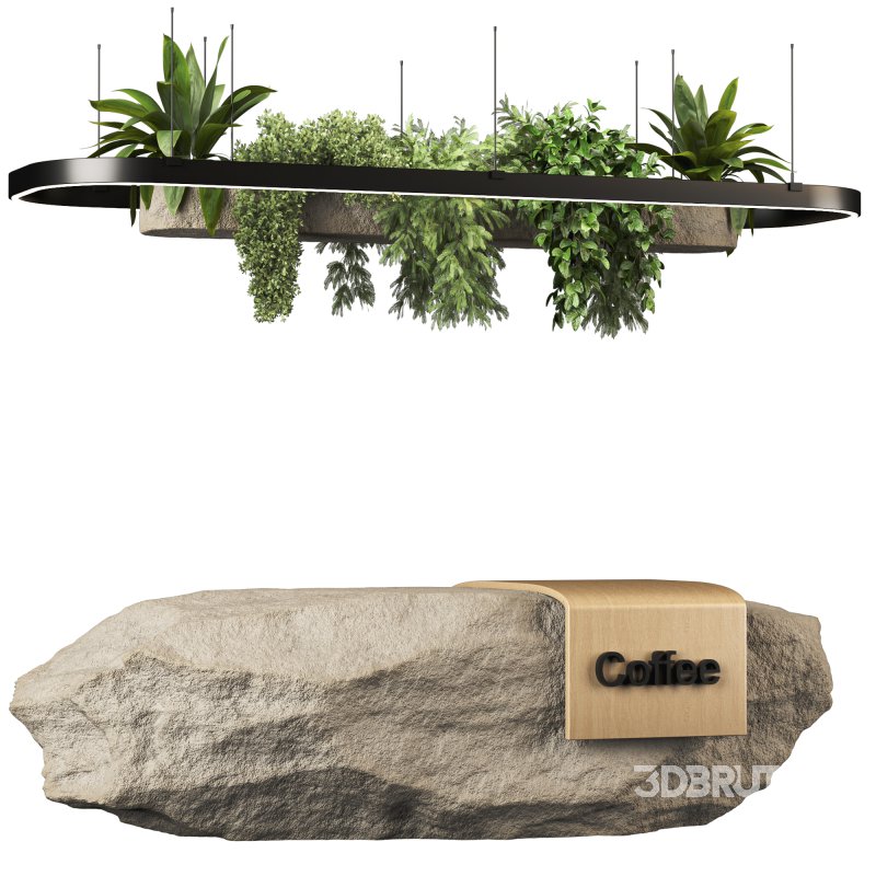 Reception Desk With Hanging Plants set12 Image 2