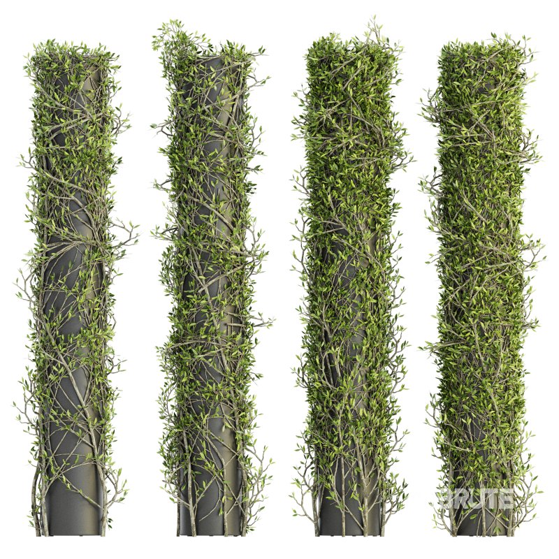 Outdoor Plant Set 09 Image 1