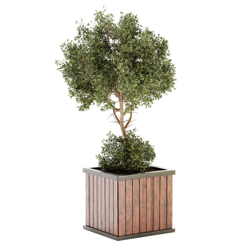 Urban environment 04 Image 4