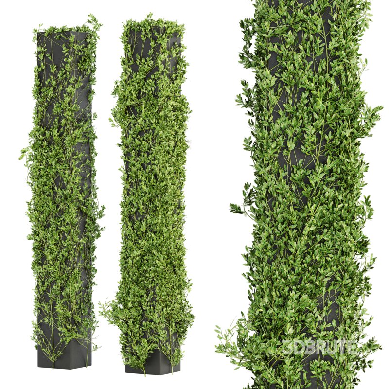 Outdoor Plant Set 012 Image 1