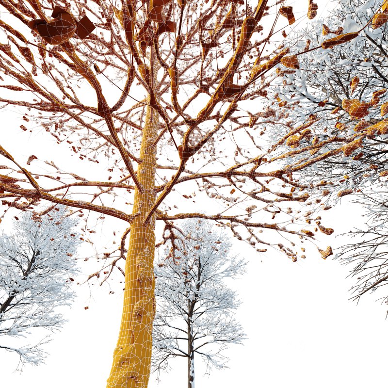 AV Plants Oak Tree Winter Snow Tree Image 4