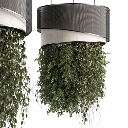 Indoor plants Hanging Plants set90