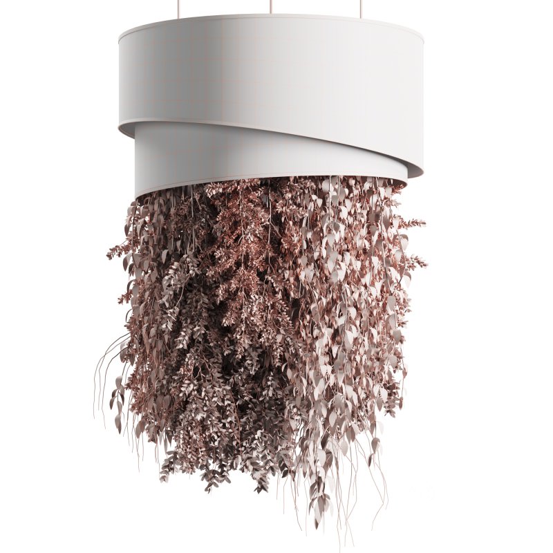 Indoor plants Hanging Plants set90 Image 3