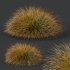 AV Carex Testacea Orange Sedge Grass Prairie Fire - Thumbnail 2