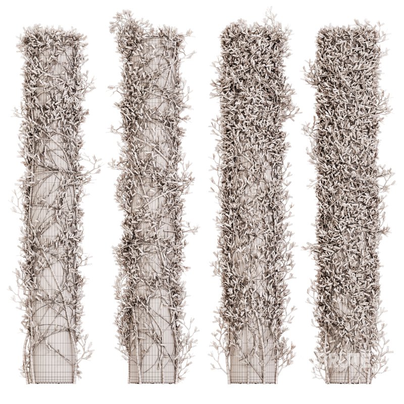 Outdoor Plant Set 09 Image 4