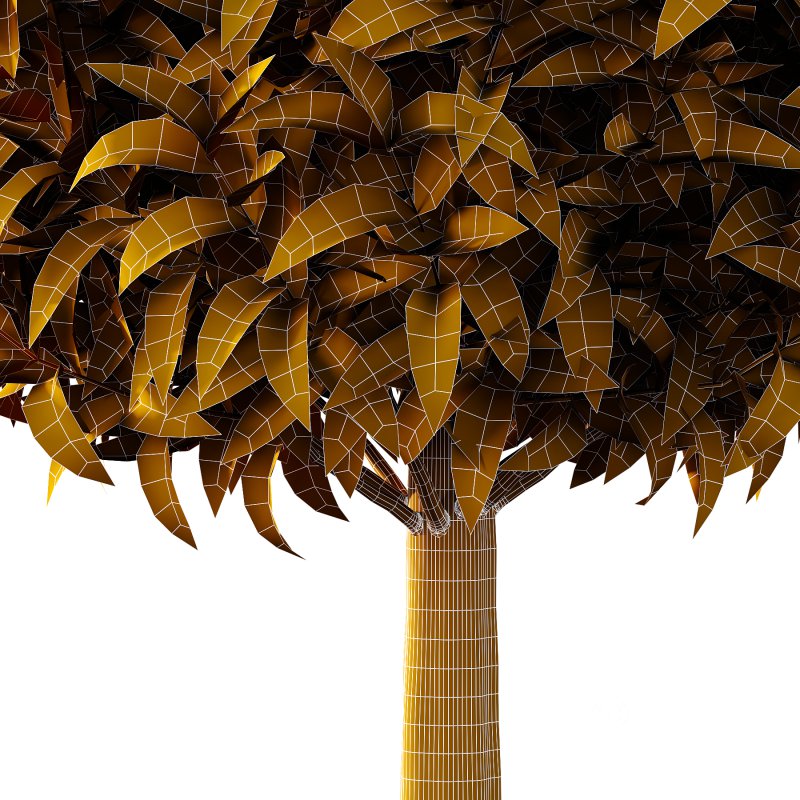 Sweet Viburnum Plant03 Image 5