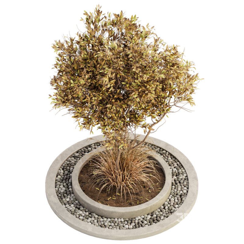 Outdoor Plant Set 017 Image 2