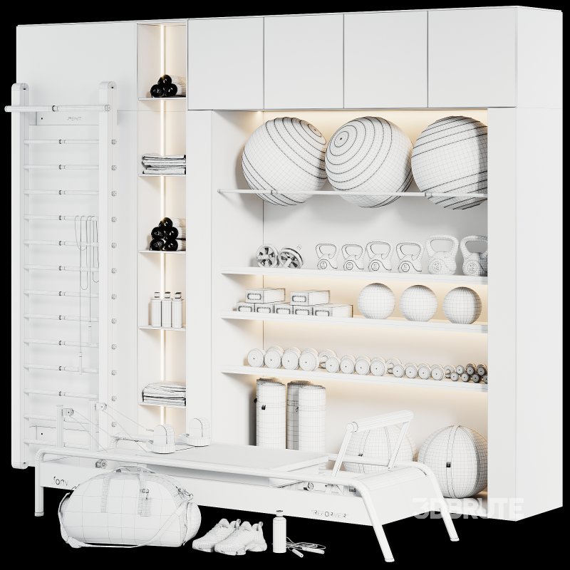 A Rack with gym equipment 01 Image 3