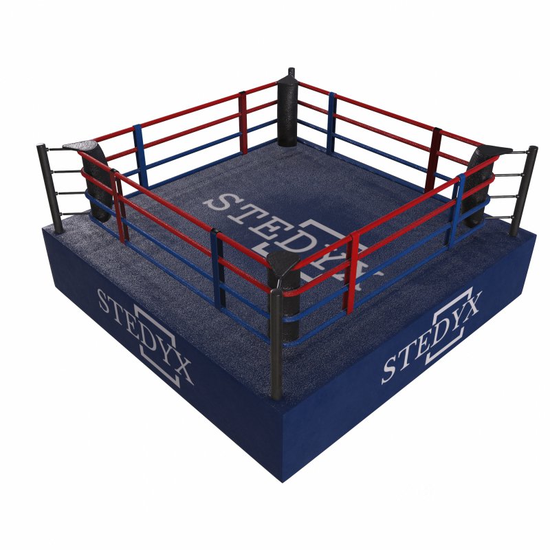 boxing ring Image 5
