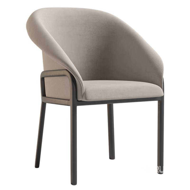 Minimalist Organic Chair Image 5