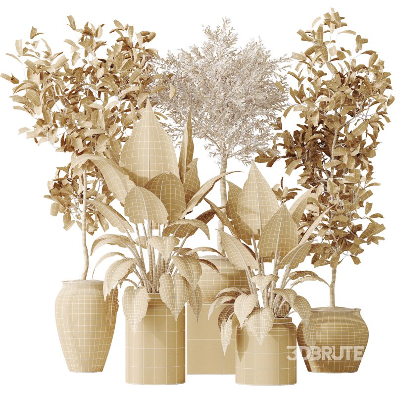 AV Indoor plants set 181 Alocasia Elefantenohr Wentii and Briful Pachira Aquatica Grand Artificiel and Olive Elegant Mission Image 11