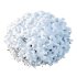 AV Plants Ligustrum Quihoui Privet Pruned Sphere Winter Snow - Thumbnail 2