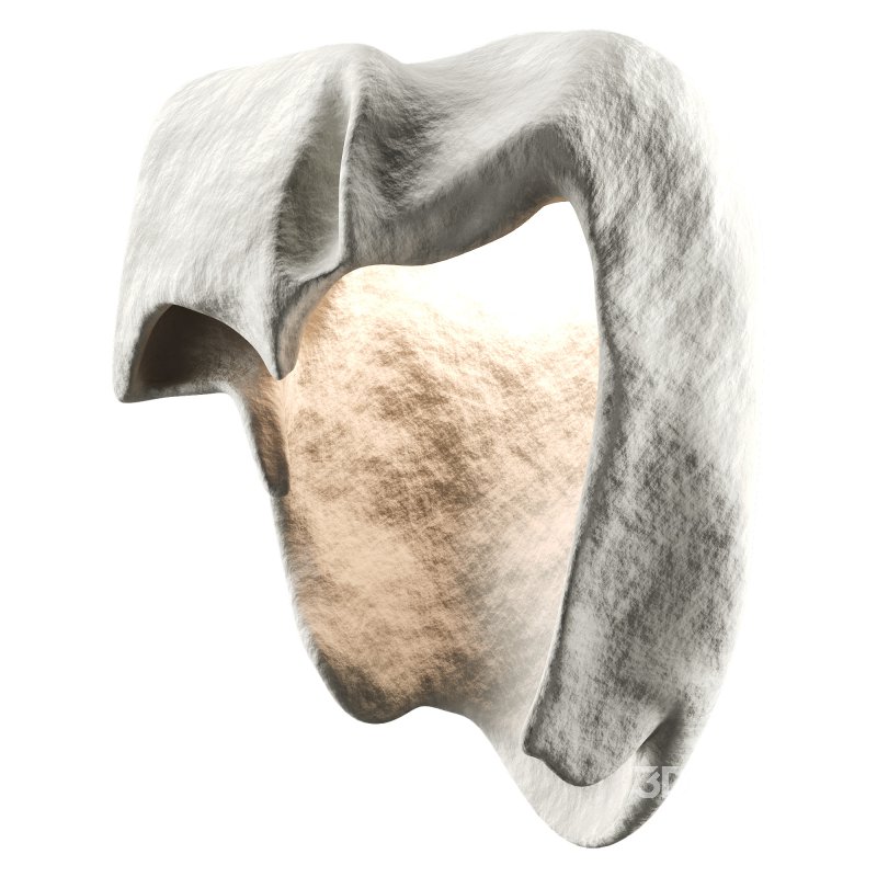 Castimonia Corporis Image 2