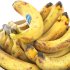 bowl of bananas fruit - Thumbnail 4