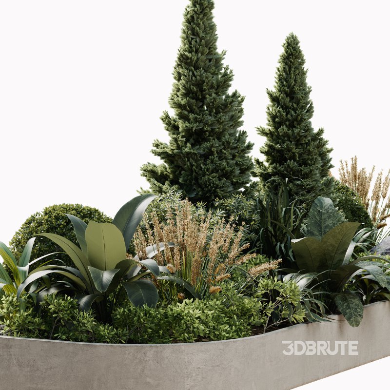 Outdoor Plant 38 Image 4