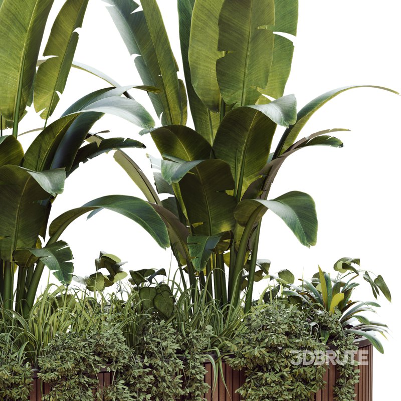 Outdoor Plant 39 Image 4