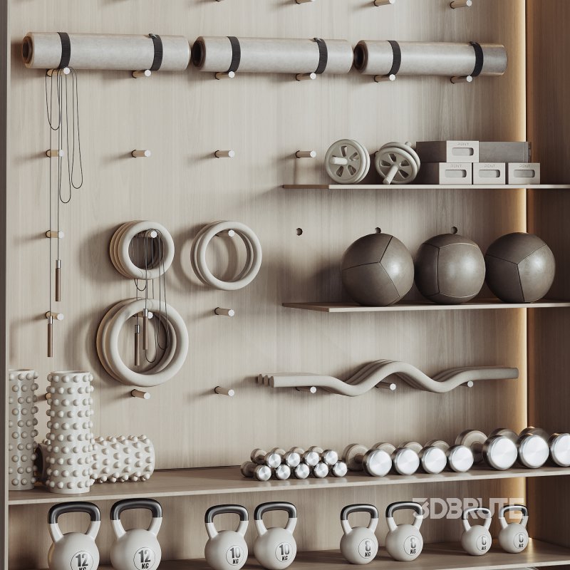 A Rack with gym equipment 02 Image 4