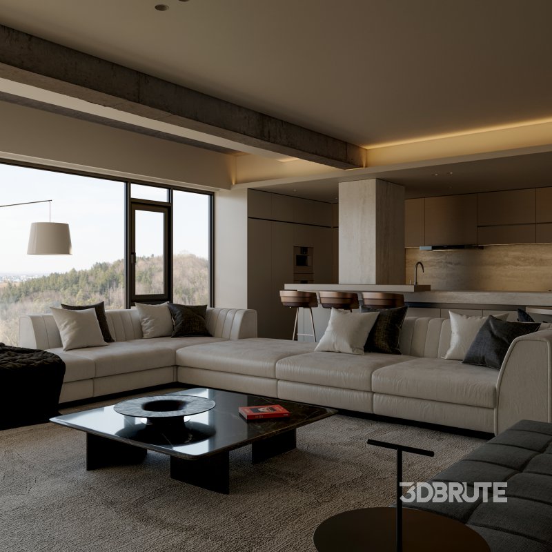 Living Room Dining Room Image 5