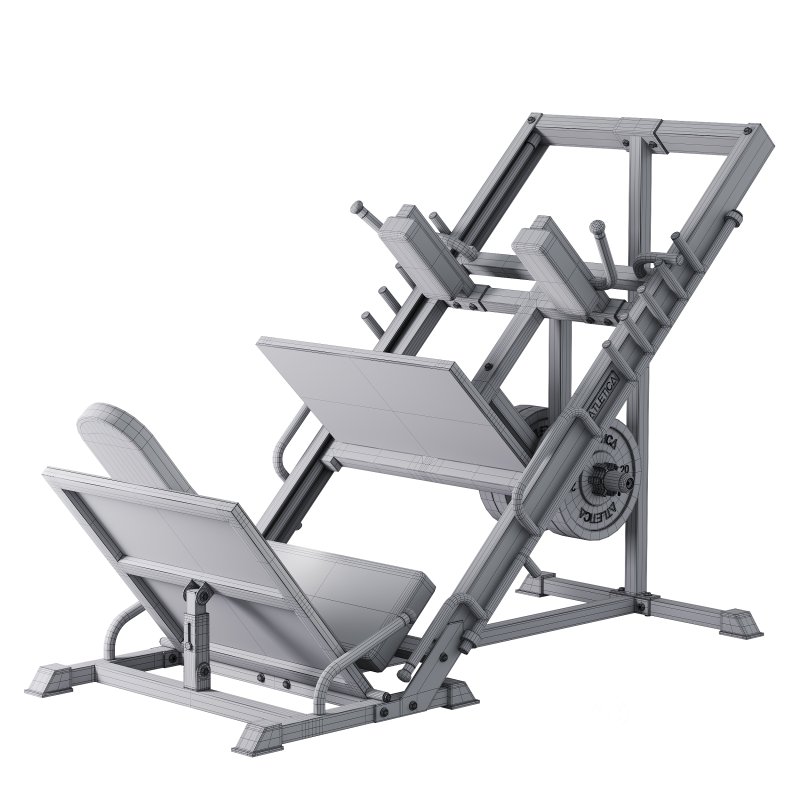 Beinpresse Hackenschmidt Combi Image 14